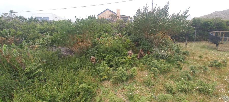 0 Bedroom Property for Sale in Pringle Bay Western Cape